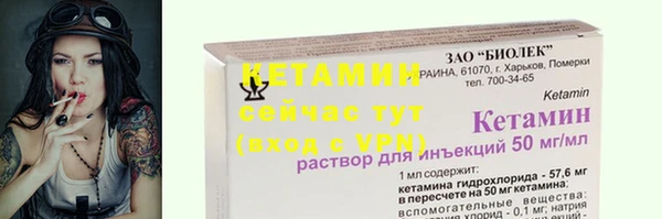 PSILOCYBIN Менделеевск