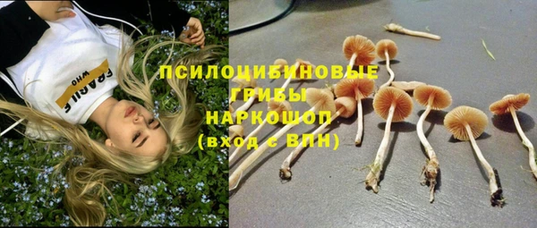 альфа пвп Ростов