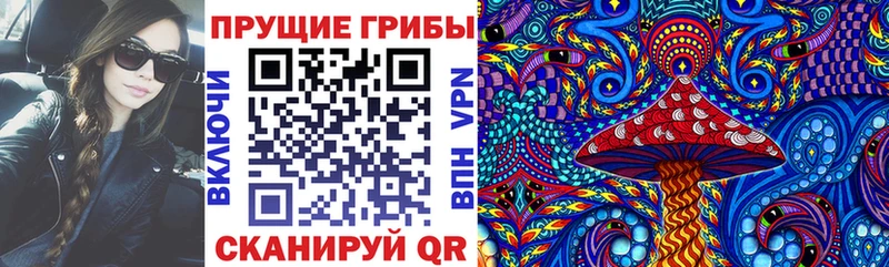 Псилоцибиновые грибы мицелий  где продают   Сасово 